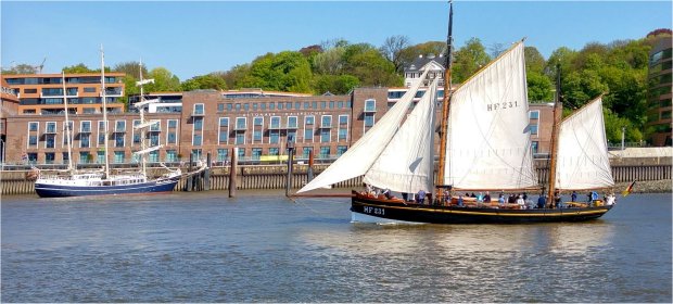 Segler auf der Elbe